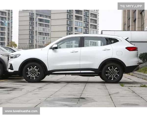 产品线的中坚力量 试哈弗H7 2.0T 6DCT 产品线的中坚力量 试哈弗H7 2.0T 6DCT
